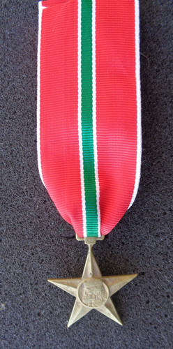 Medaglia divisione partigiana - divisione,
